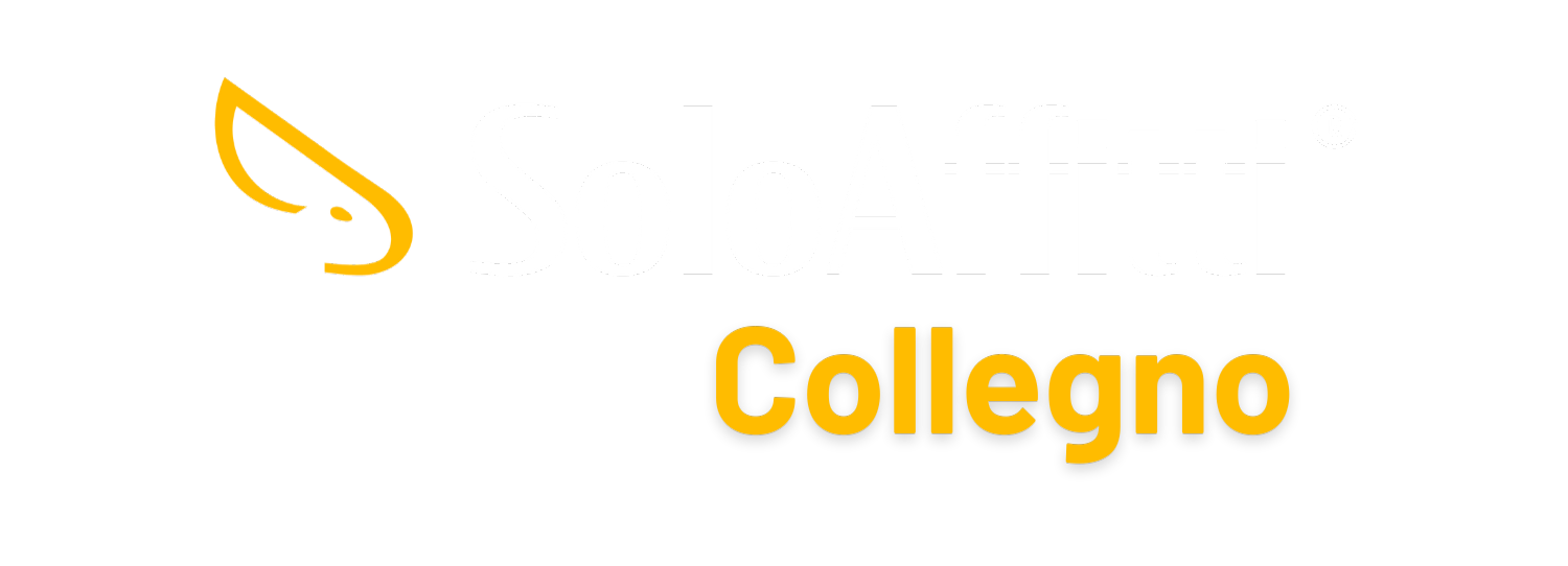 SoloAffitti Collegno